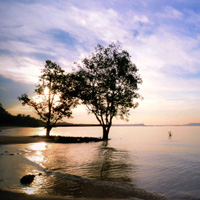 ddos压力测试平台